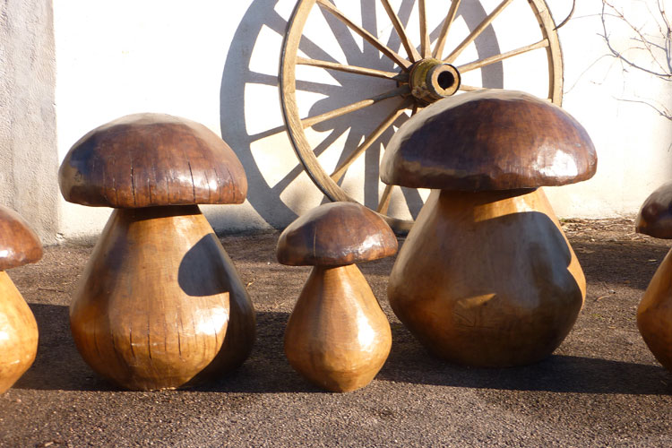 champignons