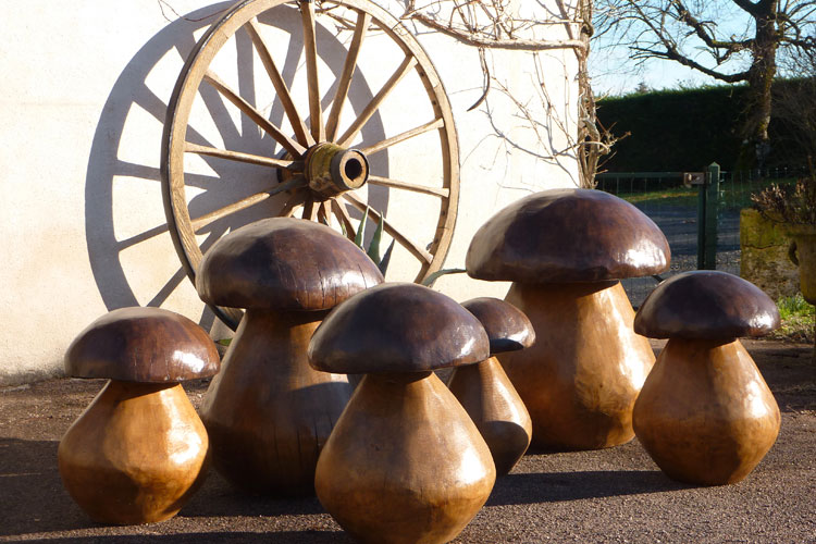 champignons